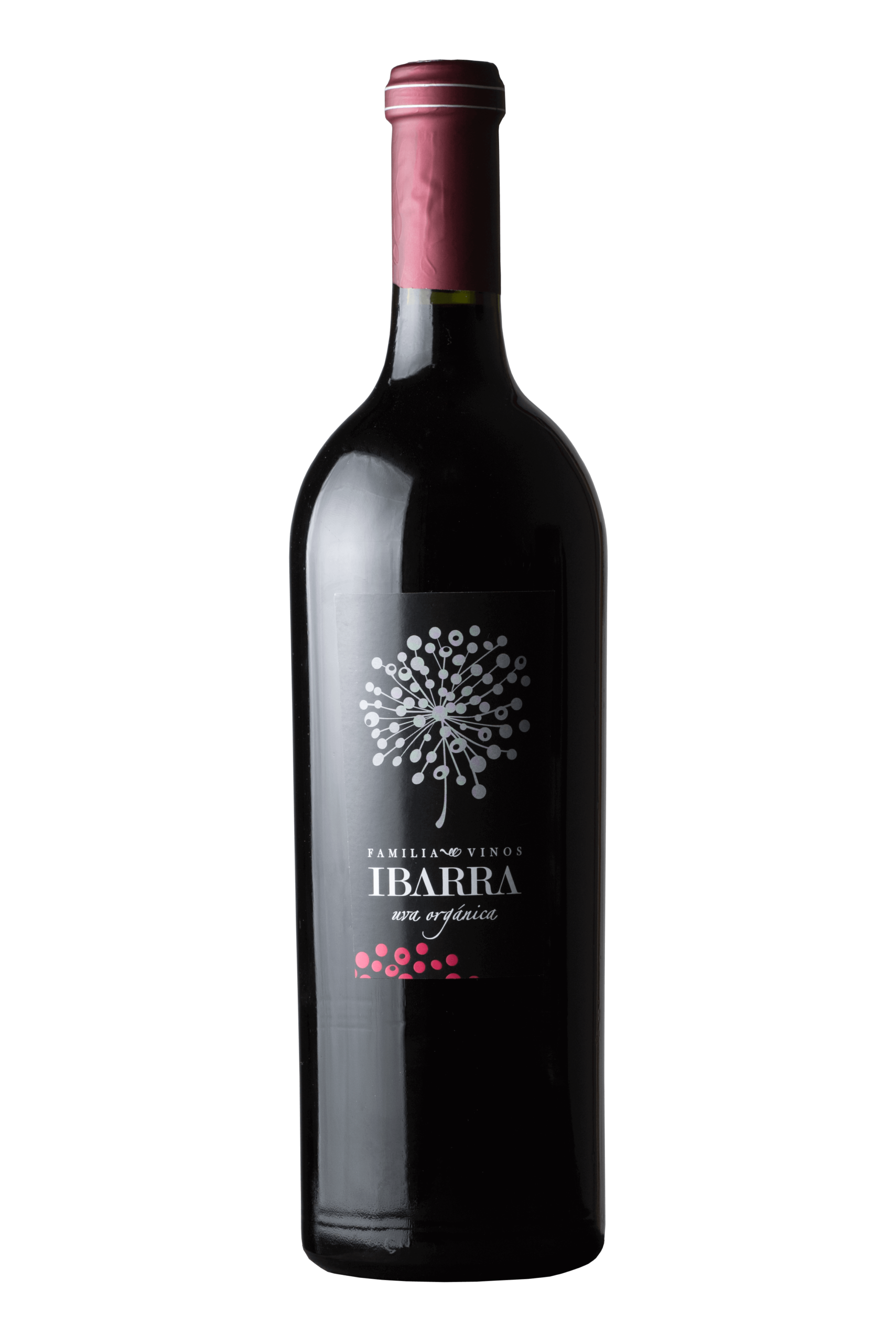 Botella Bonarda 2021